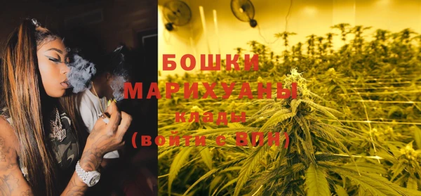 дмт Белокуриха