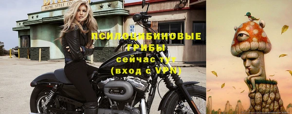 соль ск Пестово