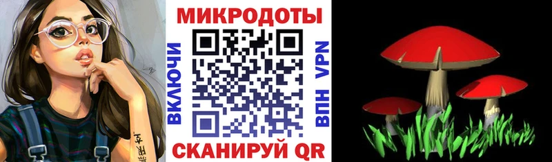 Псилоцибиновые грибы GOLDEN TEACHER  дарнет шоп  Вышний Волочёк 
