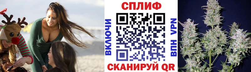 где можно купить KRAKEN Конопля VHQ Вышний Волочёк